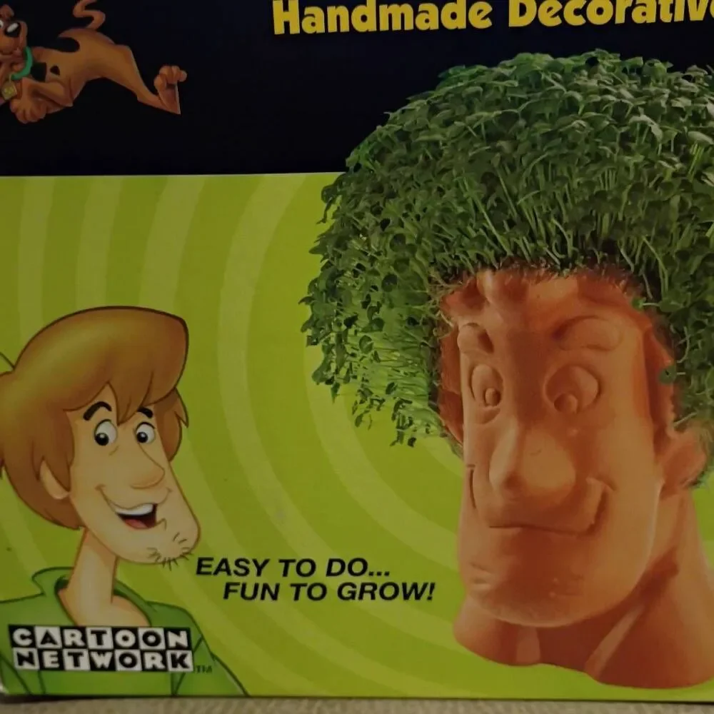 NWT Cartoon Network Scooby Doo Chia Shaggy